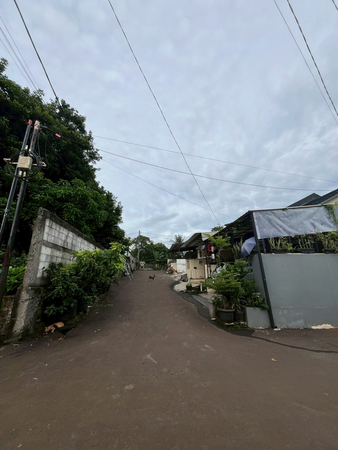 LINE_ALBUM_GP-1(gerbang dan jalan perumahan)_251114_1